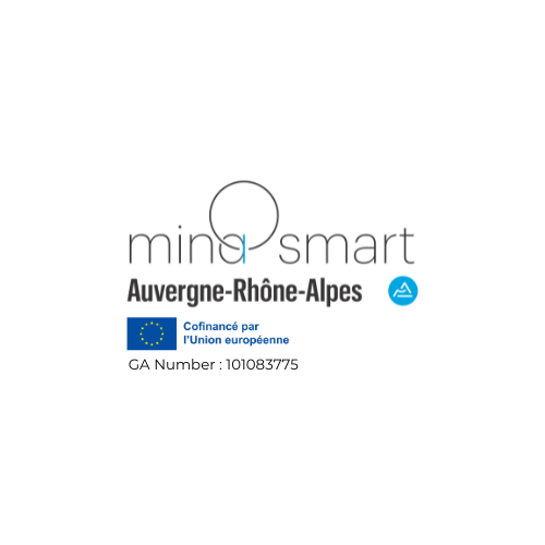 MINASMART 